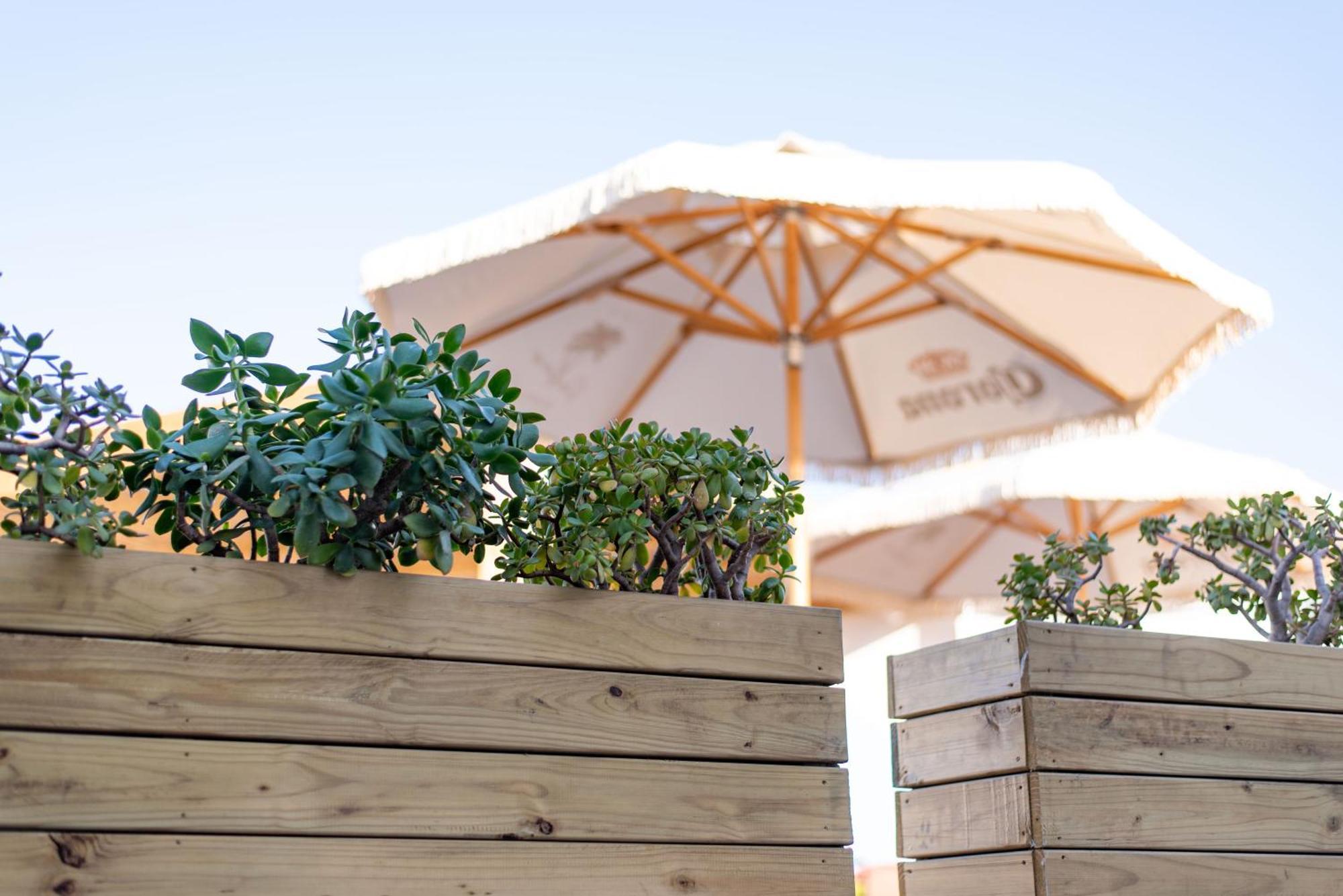 The Ivory Haus Hotel Plettenberg Bay Kültér fotó
